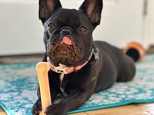 Nylabone Power Chew Original Bone Dog Chew Toy, Original Flavor, Small - size: Small