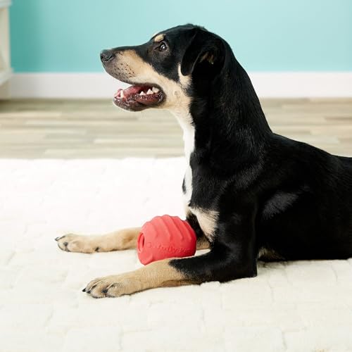Dog Toys Hollow Red Tough Rubber Ball Cleans Teeth Bounce Fetch Fill with Treats (Large - 4 Inch) - size: Large - 4 Inch