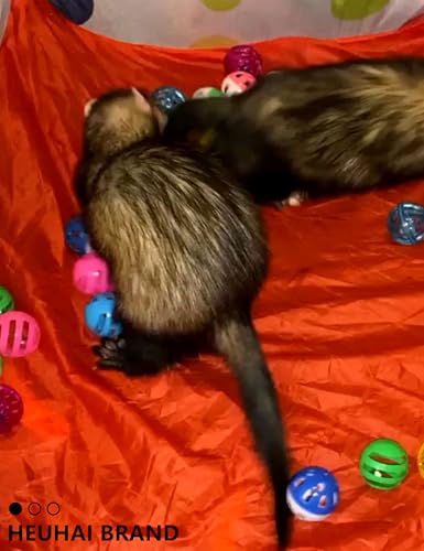 10 Pack Hollow Plastic Play Balls, Assorted Shapes for Ferrets - size: 1.5'' - 2.7''