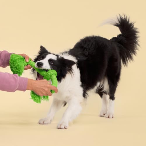 Playology Tug Rope Dog Toys for Large Dogs - Jumbo, Sweet Potato Scent - size: Jumbo, style: Sweet Potato