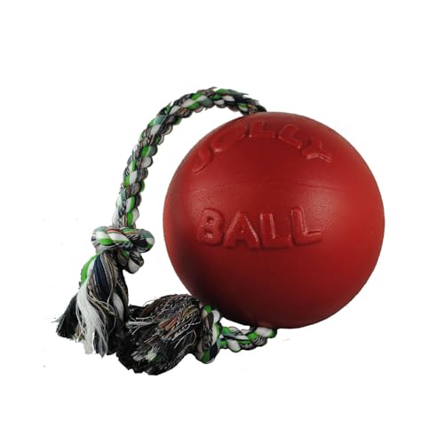 Jolly Pets Romp-N-Roll Rope & Ball Dog Toy, 4.5 in Small, Blue - color: Blue, size: Small (4.5 in)