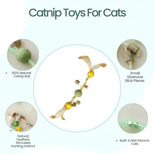 Catnip Toys for Cats, 5 Pack Interactive Cat Toys Set - color: 5Pack-Mouse-1