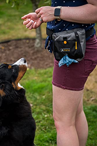 OllyDog Backcountry Day Bag, Fanny Pack, Dog Treat Pouch, Hands-Free for Training, Hip Pack with Built-in Poop Bag Dispenser, Removable Waist Belt Clip (Atlantic) - color: Atlantic