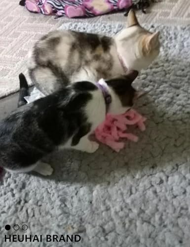 3 Pack Soft Plush Octopus Toys with Catnip for Indoor Kittens and Cats