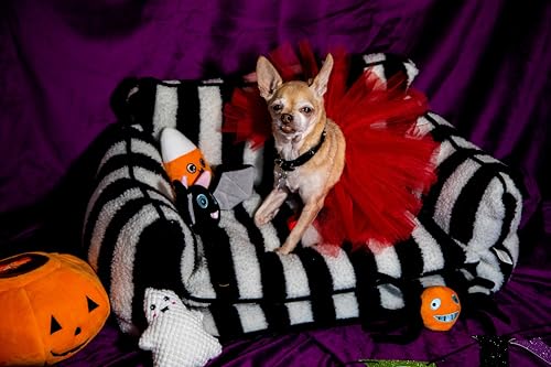 Glow Pups Halloween Hide and Seek Dog Toys, Orange Pumpkin