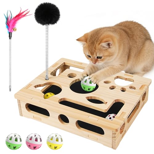 Cat Scratch Puzzle Enrichment Box with 3 Balls & 2 Feather Wands
