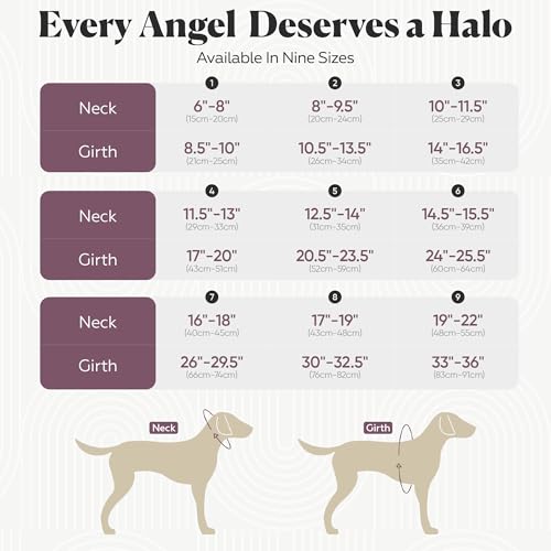 Muffin’s Halo® Original Blind Dog Halo, Harness Bumper Collar, Blue, Size 8 - color: Blue, size: 8