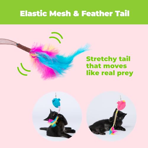 Catify Interactive Cat Toy - Squeaking Mice Set, Blue & Fuchsia - color: Squeaking Mice Blue & Fuchsia
