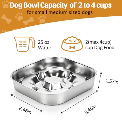 Stainless Steel Slow Feeder Dog Bowls with Non-Slip Rubber Base, 1 Pack