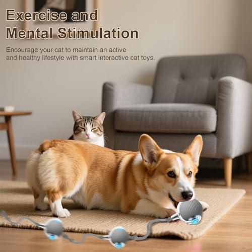 Interactive Cat Toy, 2025 New Interactive Rolling CatsToy Balls 360° Smart Automatic Rolling Pet Ball, Fast Moving Toy for Dog,Cat Ball Toy (Grey)