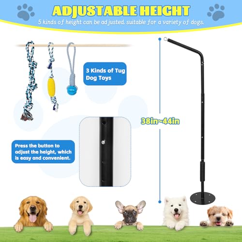 Tether Outdoor Dog Tug Toy for Small Dogs, 360° Rotating,3 Ropes & 4 Stakes