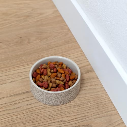 Fringe Studio Sevilla Tile Sand Small Ceramic Imprinted Pet Bowl (5" Diameter x 1.75" H, 12 fl.oz.), PetShop Collection (785SM001) (Pack of 2) - color: Sevilla Tile Sand, size: Small (Pack of 2)