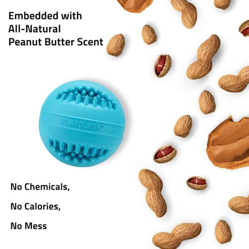 Playology Dental Chew Ball Toy for Senior Dogs - Jumbo, Peanut Butter Scent - size: Jumbo Chew Ball, style: Peanut Butter