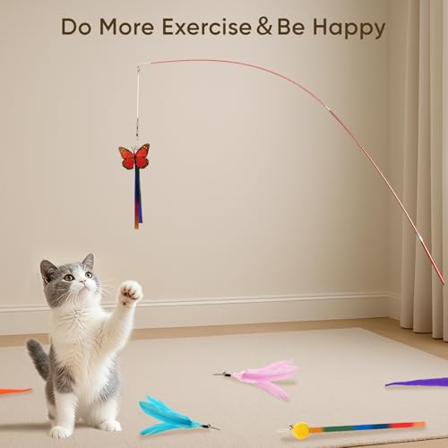 Cat Toys for Indoor Cats, 13 Packs Interactive Cat Wand Toy Set with Feather＆Ribbon Refills, Feather Toys for Exercise, Playtime and Boredom Relief with Kitten - size: 13 Packs B