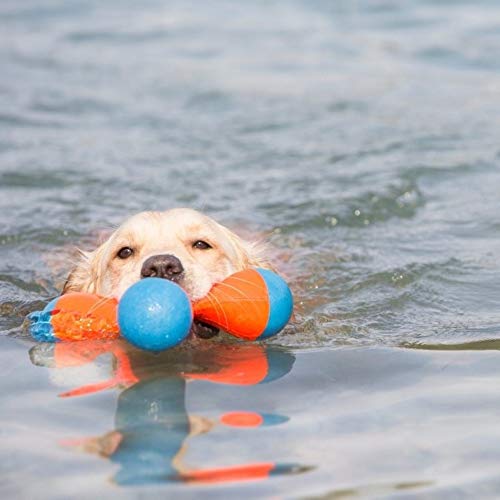 Chuckit! Triangular Fetch & Tug Dog Toy (Pack of 12) - size: Medium (Pack of 12), style: Tri-Bumper