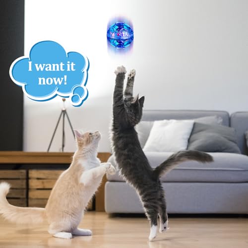 Sratte 2 Pcs Rechargeable Light up Cat Ball Ghost Hunting, Red and Blue - color: Red and Blue