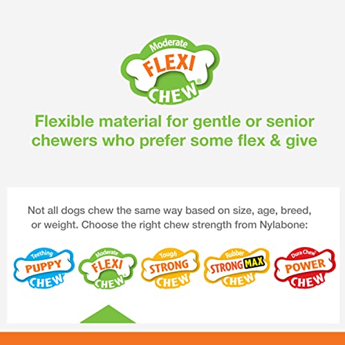 Nylabone Flex Moderate Chew Dog Toy Chicken Small/Regular (1 Count) (Pack of 4) - size: Small (Pack of 4)