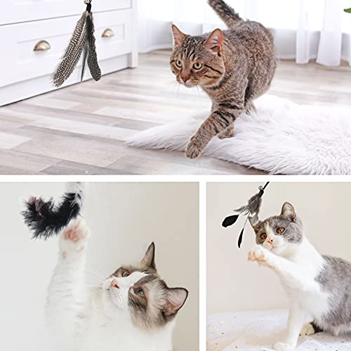 SONGWAY Interactive Cat Feather Toy Set - Retractable Teaser Wand with 6 Pcs Feather Refills with Bell, Cat Wand Toys for Indoor Cats Kittens Play Chase Exercise, Black - color: Black