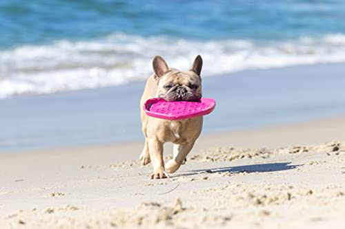 PROJECT HIVE ·PET COMPANY· Dog disc - Great for Fetch - Includes a Lick mat on Back - Floats in Water, Smooth Glide - Made in The USA (Wild Berry) - color: Wild Berry