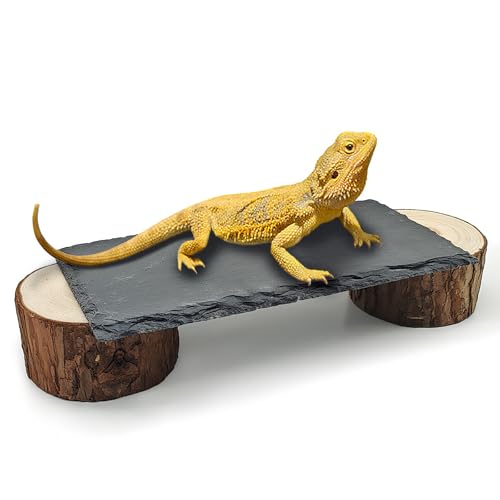 Bearded Dragon Basking Platform,Natural Slate Reptile Basking Rocks,L