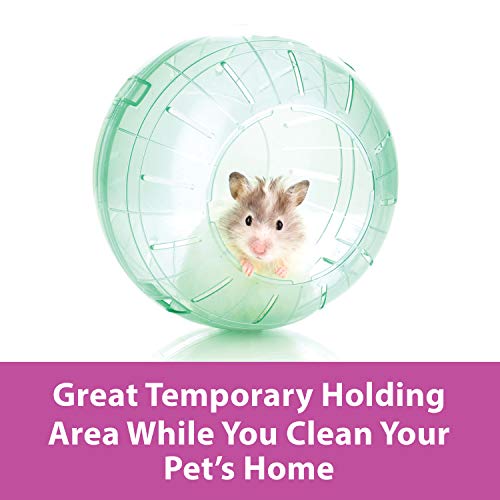 Kaytee 11.5" Clear Run-About Exercise Ball for Hamster & Gerbil Pets - color: Clear, size: 11.5"