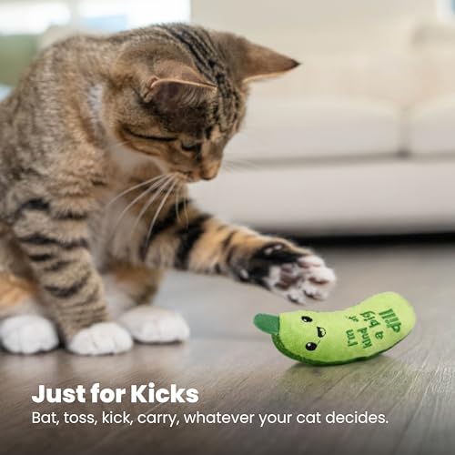 Catstages Crunchy Pickle Kicker Cat Toy – Plush Crinkle Toy with Catnip and Dental Mesh, 6.5" (Pack of 2)