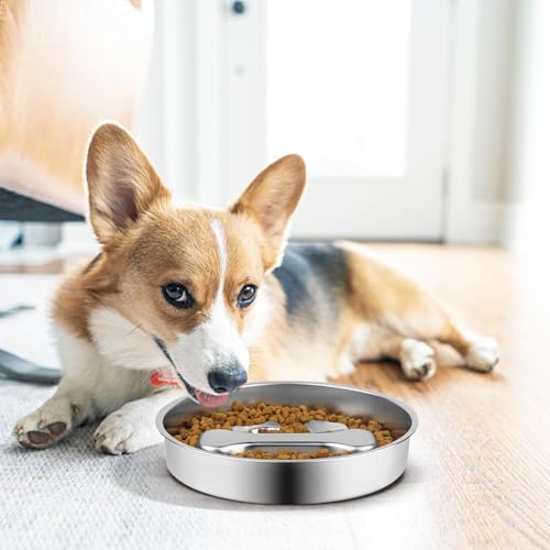 Stainless Steel Slow Feeder Dog Bowls,2 Pcs Slow Food Bowl for Dog & Cat - 2 Cups Capacity,Bone-Shaped Design Pet Food Holder,Metal Non-Slip Lick Plate,Puzzle Maze Dish for Small & Medium Sized Breeds