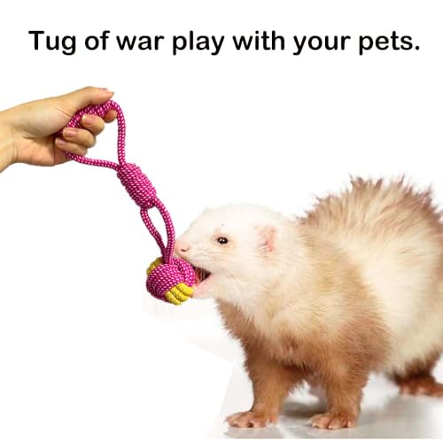 6 Pack Ferret Chew Toys Ferret Bell Balls Squeaker Toys Squeak Toy Teething Pet Toy Durable Knotted Tug of war Cotton Chew Toys Exercise Scratch Toy Interactive Cat Dog Rope Toy Set Small Animals