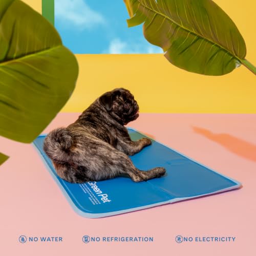 The Green Pet Shop Cool Pet Pad - Large, Blue - Self-Cooling, Pressure Activated Mat for Dogs & Cats from 46-80 lbs - Non-Toxic Gel, No Water Needed - color: Blue, size: Large