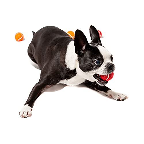 Midlee Mini 1.5" Dog Tennis Balls with Squeaker, Set of 12