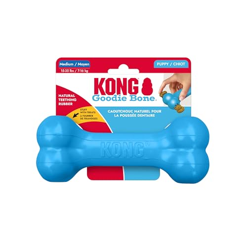 KONG Puppy Goodie Bone, Natural Rubber Chew, for Medium Puppies, Blue - color: Blue, size: Medium