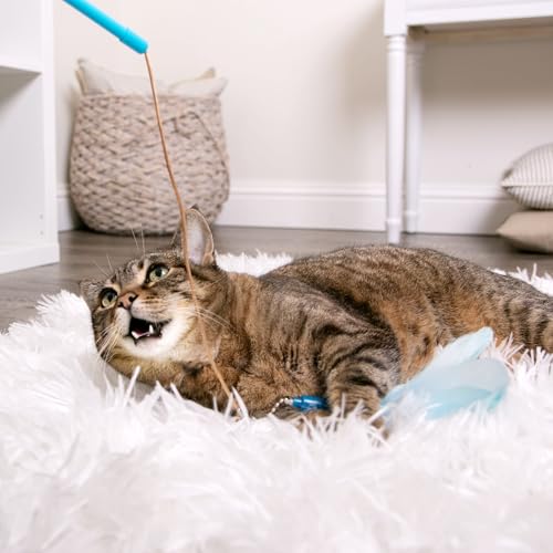 Frisky Flyer, Interactive Cat Toy, Extendable and Retractable Wand with Feathers - The Wand Handle Easily Extends Up to 24" to Engage Cats in High-Flying Fun and Retracts Back Down for Easy