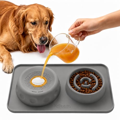 2 in 1 Silicone Slow Feeder Dog Bowl & Lick Bowl,Pet Feeding Bowl - color: Gray