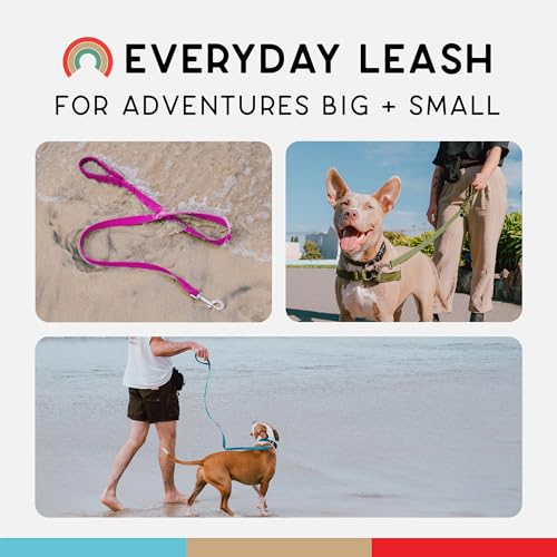 Wildebeest Funston Waterproof Dog Leash - Heavy Duty 4ft Long Leash for Small, Medium and Large Dogs - 1000D Nylon, Scratch & Stink-Resistant & Pill-Free - Nylon Wrap Handle (3/4" Wide, 4 ft Length) - color: Fuchsia(Pink), size: 4 ft