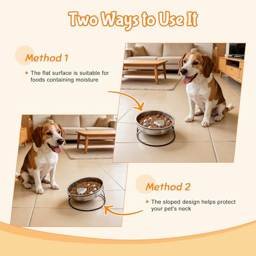 Elevated Dog Bowl Stand, Slow Feeder Dog Bowl, Dog Paw Pattern