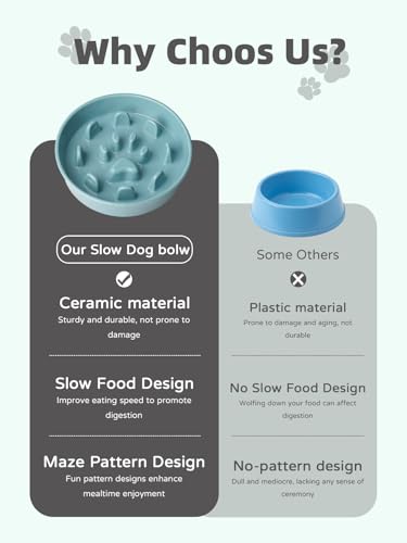 Ceramic 1.5 Cup for Small & Medium Breeds Slow Feeder Dog Bowl (Turquoise) - color: Turquoise