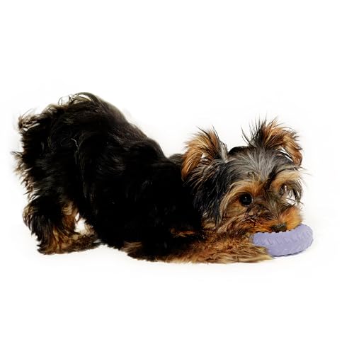 Playology Dual Layer Ring Dog Toy for Aggressive Chewers, Lamb Scent - size: Small, style: Lamb