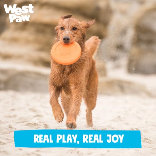 WEST PAW Zisc High-Flying Disc Dog Toy - Small - Granny Smith Green - color: Granny Smith, size: Small