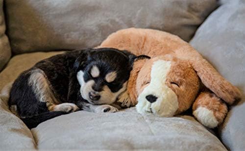 Plush Heartbeat Toy - Calming Anxiety Relief Toys for Puppies and Kittens - Heartbeat in a Soft Comforting Pet Plush for Dogs and Cats (Brown) - color: Brown