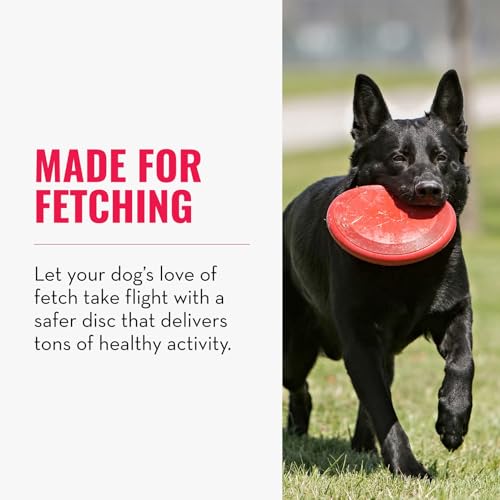 KONG Flyer - Durable Dog Toy for Outdoor Playtime - Natural Rubber Flying Disc, Dog Toy for Fetch - Safer Disc for Healthy Activity - for Small Dogs (Pack of 3) - size: Small (Pack of 3)