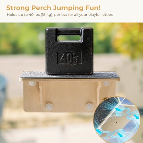 Pecute 2-in-1 Cat Window Perch & Wall Shelves, Cat Hammock Window 16"x10" - size: 15.7"L x 10.2"W