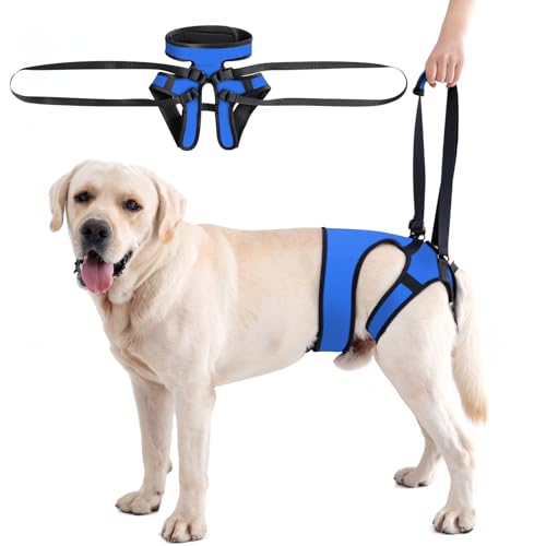 LIANZIMAU Dog Sling for Large Dogs Adjustable Hind Leg Support Lift Harness Senior Canine Mobility Aid Carrier for Back Legs Walking Rehabilitation - color: Royal Blue, size: M（Waist:18"-21")