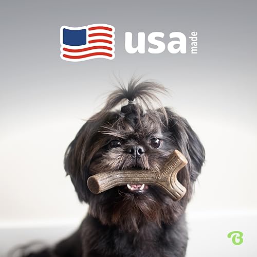 Benebone Large Dog Toys for Aggressive Chewers – Under 90 lbs, 4 Count, Large (Pack of 8) - size: Large (Pack of 8), style: 4 Pack