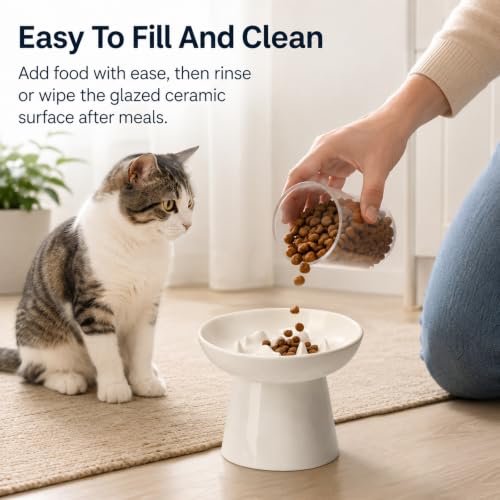 Ceramic Slow Feeder Cat Bowl, 6 Inch Elevated Cat Slow Feeder Bowl - color: White