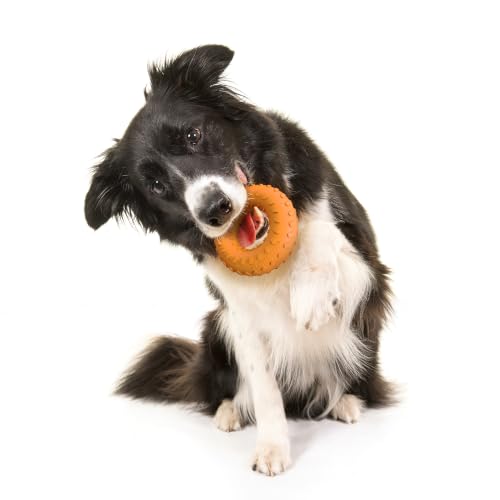 Playology Dual Layer Ring Dog Toy for Aggressive Chewers, Cheddar Scent - size: Medium, style: Cheddar Cheese