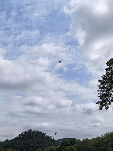 B2 Model Airplane Kite, Large Easy to Fly Kites Adults, 300FT String Reel Perfect for Beach Park Family Outdoor Activities - color: black