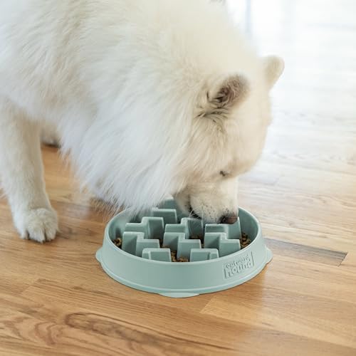 Outward Hound Fun Feeder Slo Bowl Dog Slow Feeder, Notch, Sage, 11.8" - color: Sage, size: Large