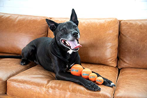 Outward Hound Squeaker Ballz Tennis Ball Dog Toy, Medium, 2.5", 6‑Pack - color: Multi Squeaker Balls, size: Medium, style: 6-Pack