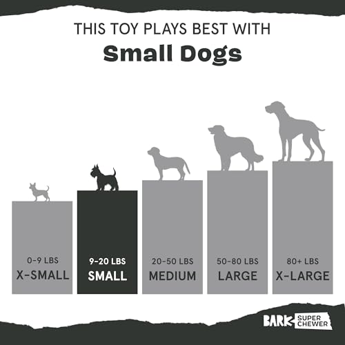 BarkBox Bear Hugger Dog Toy - 2-in-1 - Toy for Small Dogs - color: Bear Hugger