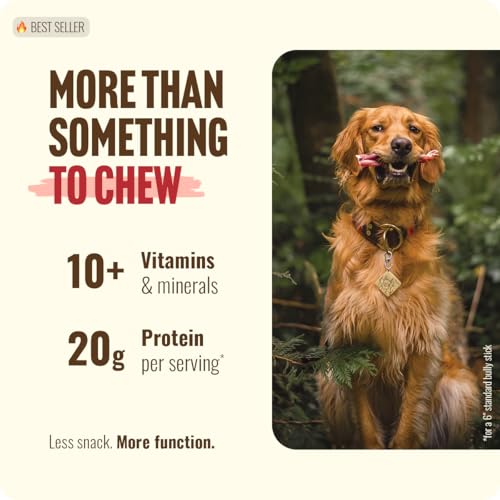 Natural Farm Bully Sticks, Odor-Free, (6 Inch, 12 Ounces), Packaged by Weight, 100% Beef Pizzle Chews, Grass-Fed, Fully Digestible Treats to Keep Your Puppies, Small and Medium Dogs Busy - size: 6" Standard - 12 Ounce